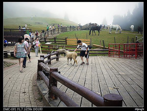 P1240646.jpg