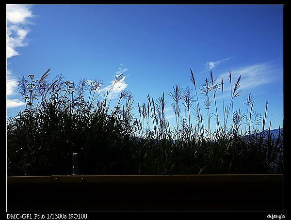 P1240889.jpg
