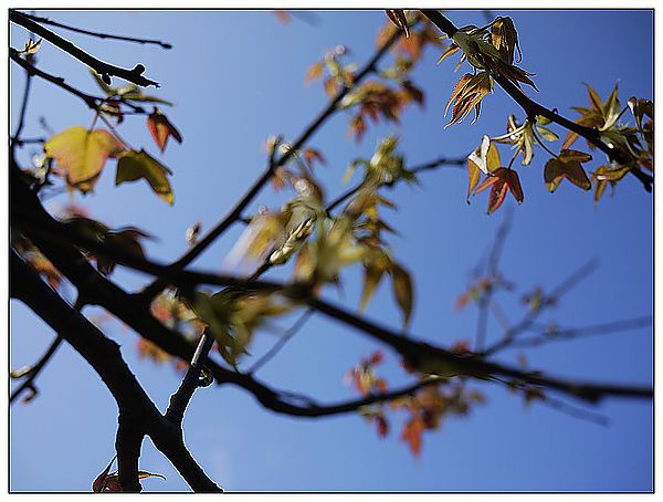 P1360216_nEO_IMG