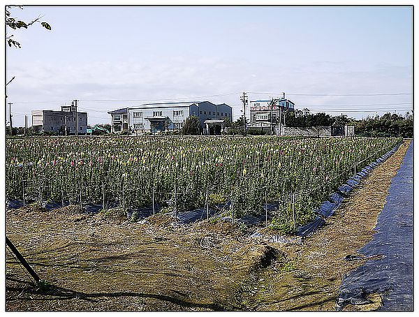 P1360214_nEO_IMG