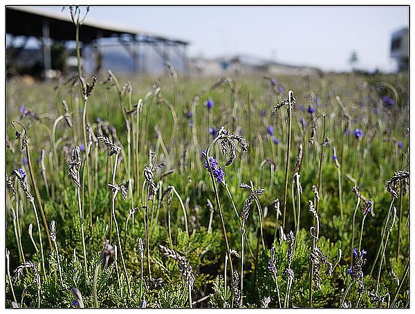 P1360212_nEO_IMG