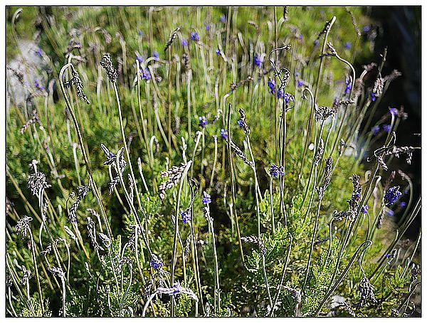 P1360213_nEO_IMG