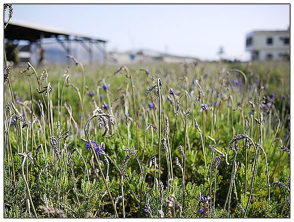 P1360211_nEO_IMG