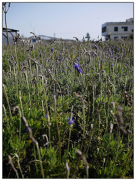 P1360209_nEO_IMG