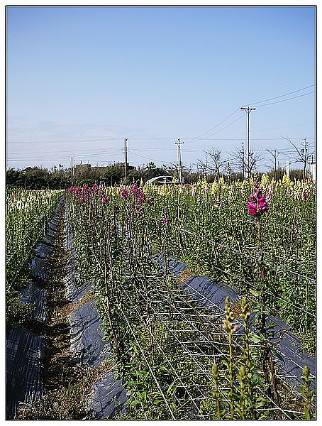 P1360207_nEO_IMG
