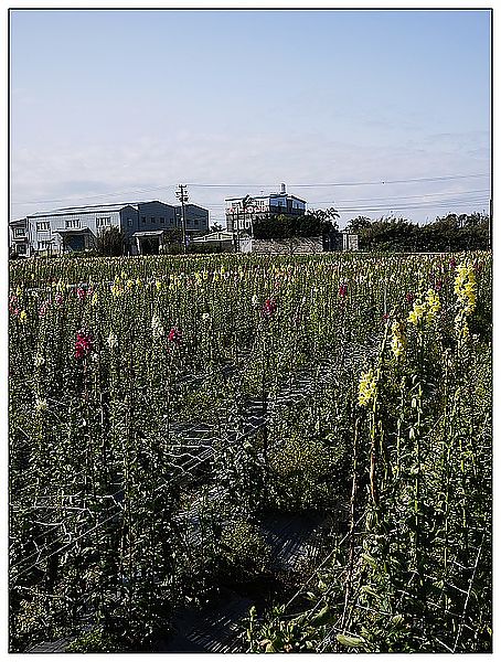 P1360206_nEO_IMG