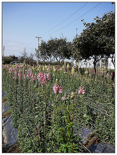 P1360205_nEO_IMG