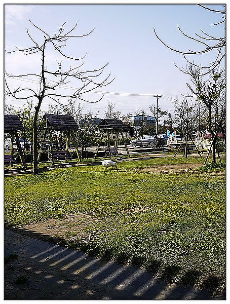 P1360197_nEO_IMG
