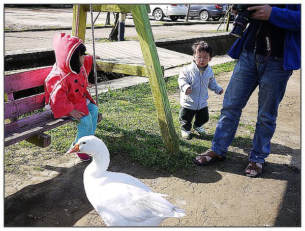 P1360174_nEO_IMG