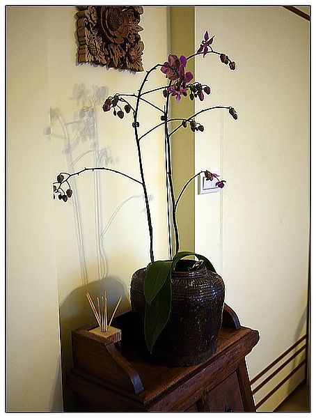 P1360754