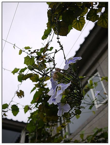P1370017