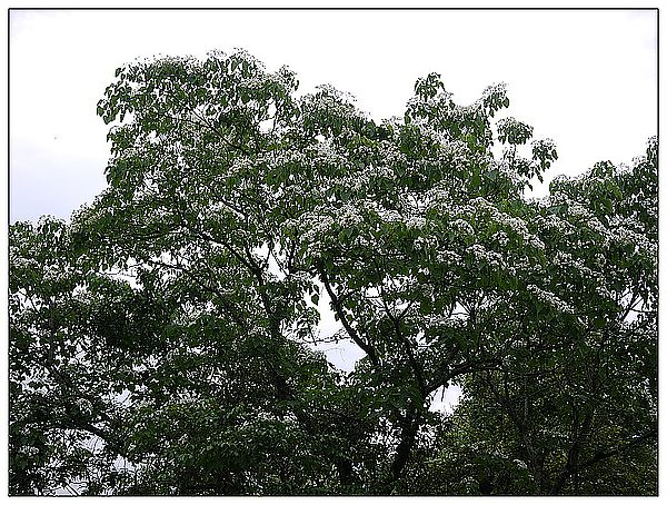 P1370385