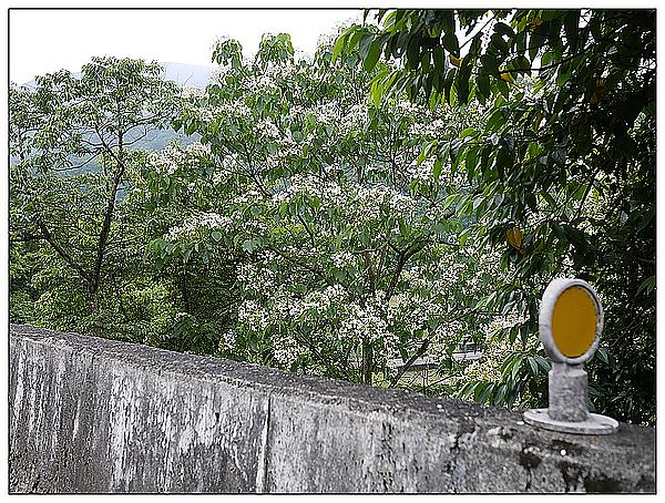 P1370389