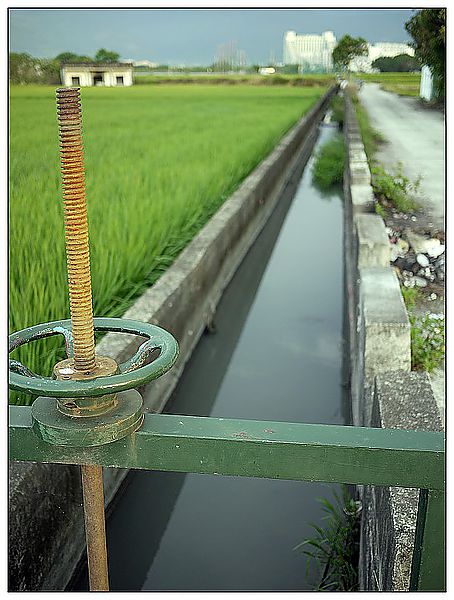 P1370878