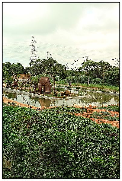 IMG_4128