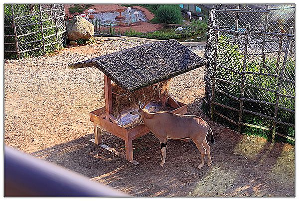 IMG_4167