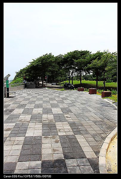 IMG_5005