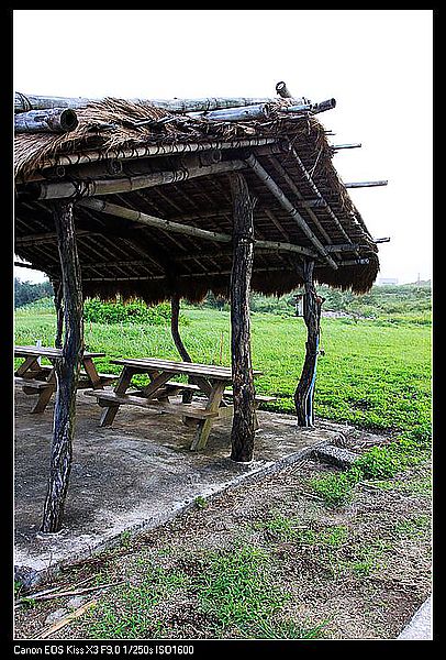 IMG_5239