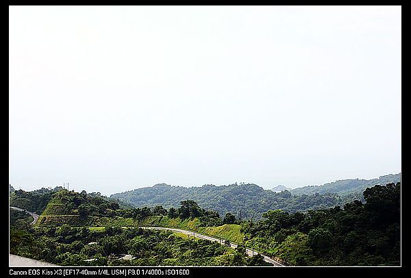 IMG_5341