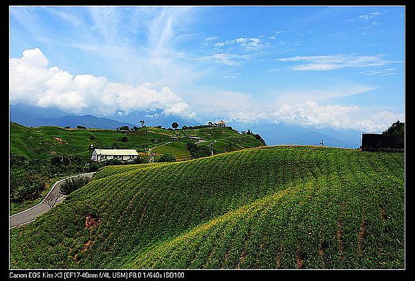 IMG_5417