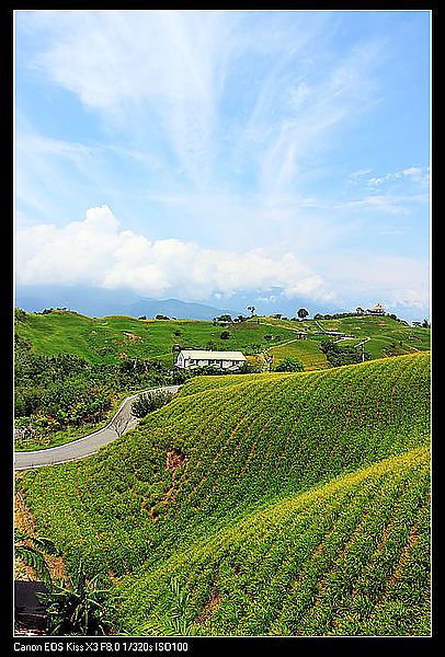 IMG_5418