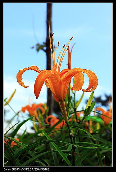 IMG_5439