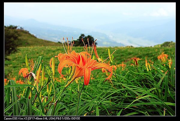 IMG_5446
