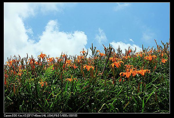 IMG_5481