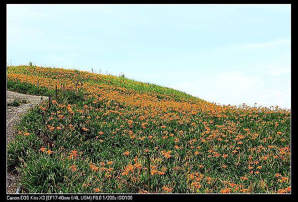IMG_5489