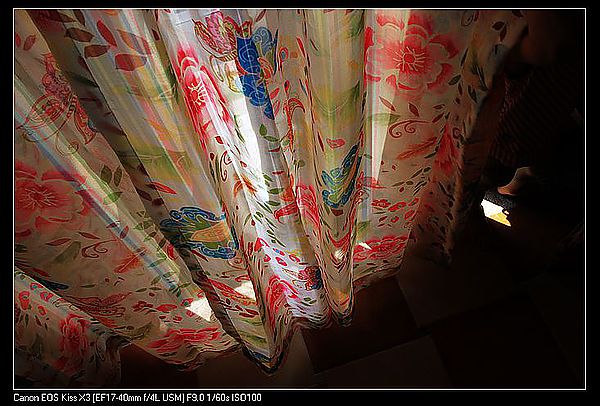 IMG_5737