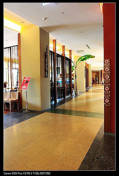 [住。東部。台東]台東鹿野|鹿鳴溫泉酒店。環境房間篇。可以再細心清潔與改進的飯店~
