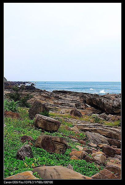 IMG_6636