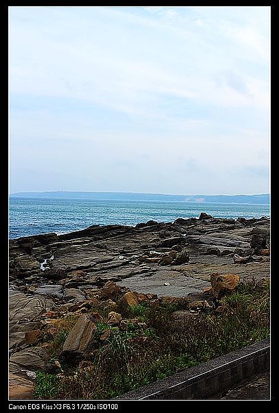 IMG_6648