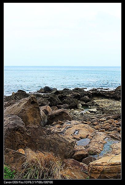 IMG_6653