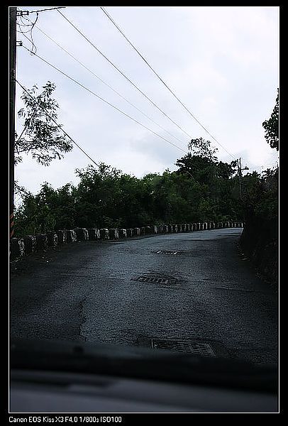 IMG_4556