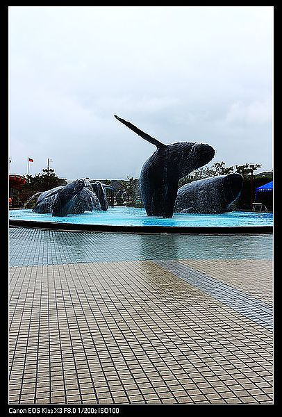 IMG_7069