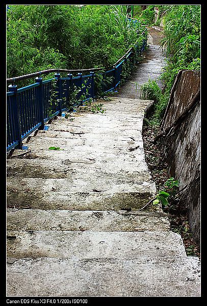 IMG_4586
