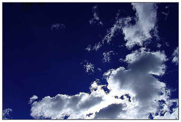 IMG_8191