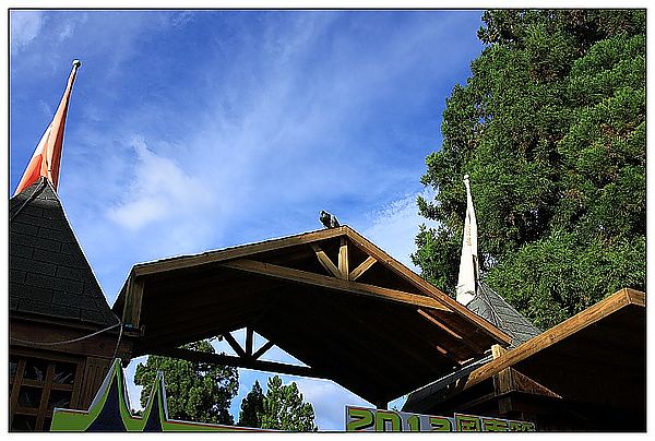 IMG_8328