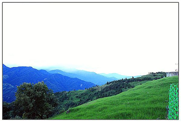 IMG_8384