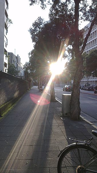 2013-01-11 16.45.30