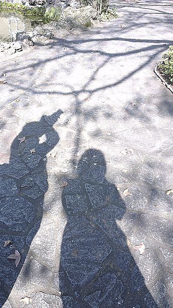 2013-01-19 13.39.13