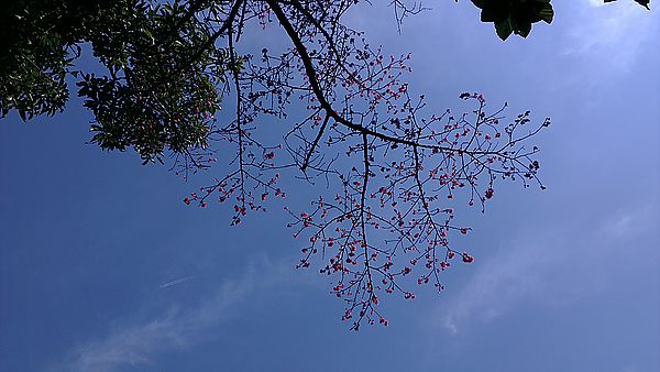 2013-01-19 13.53.39