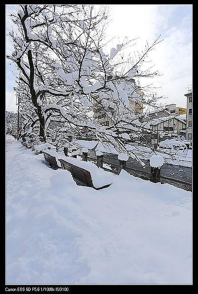 IMG_1682