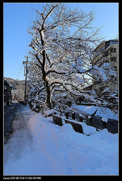 IMG_1909