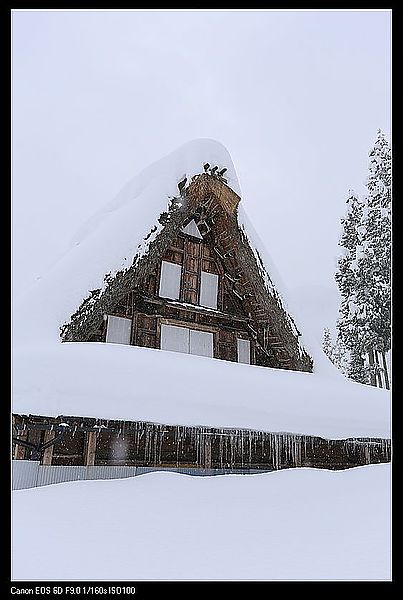 IMG_2222