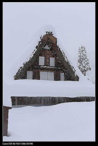 IMG_2218