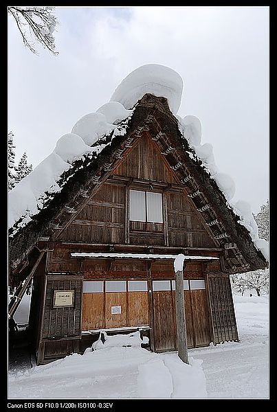 IMG_2339
