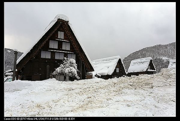 IMG_2485