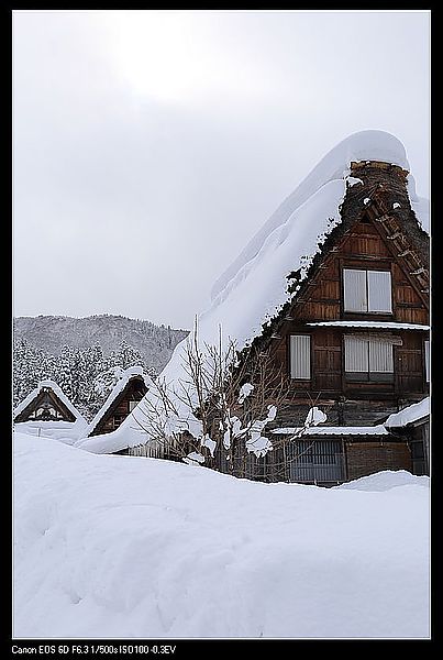 IMG_2521